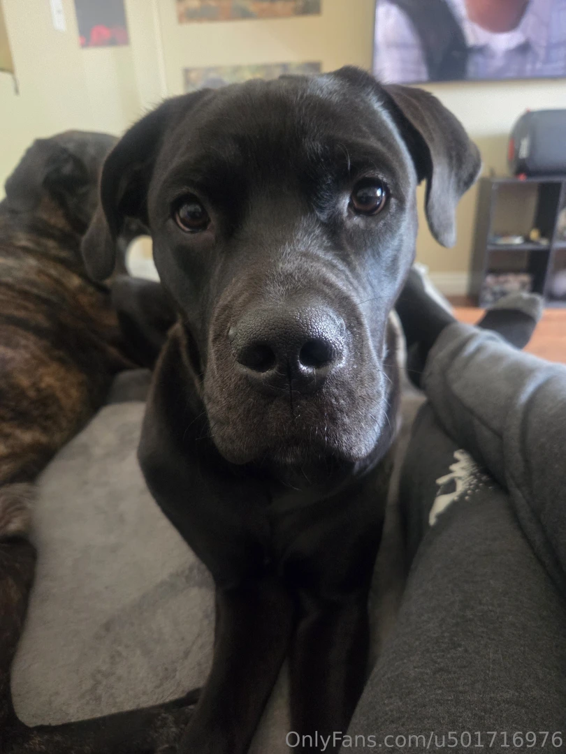 Oo i just cant with this face my youngest carl is a ham part 3 