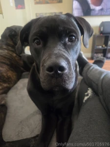 Oo i just cant with this face my youngest carl is a ham part 3