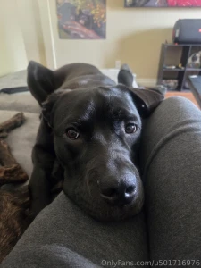 Oo i just cant with this face my youngest carl is a ham part 1