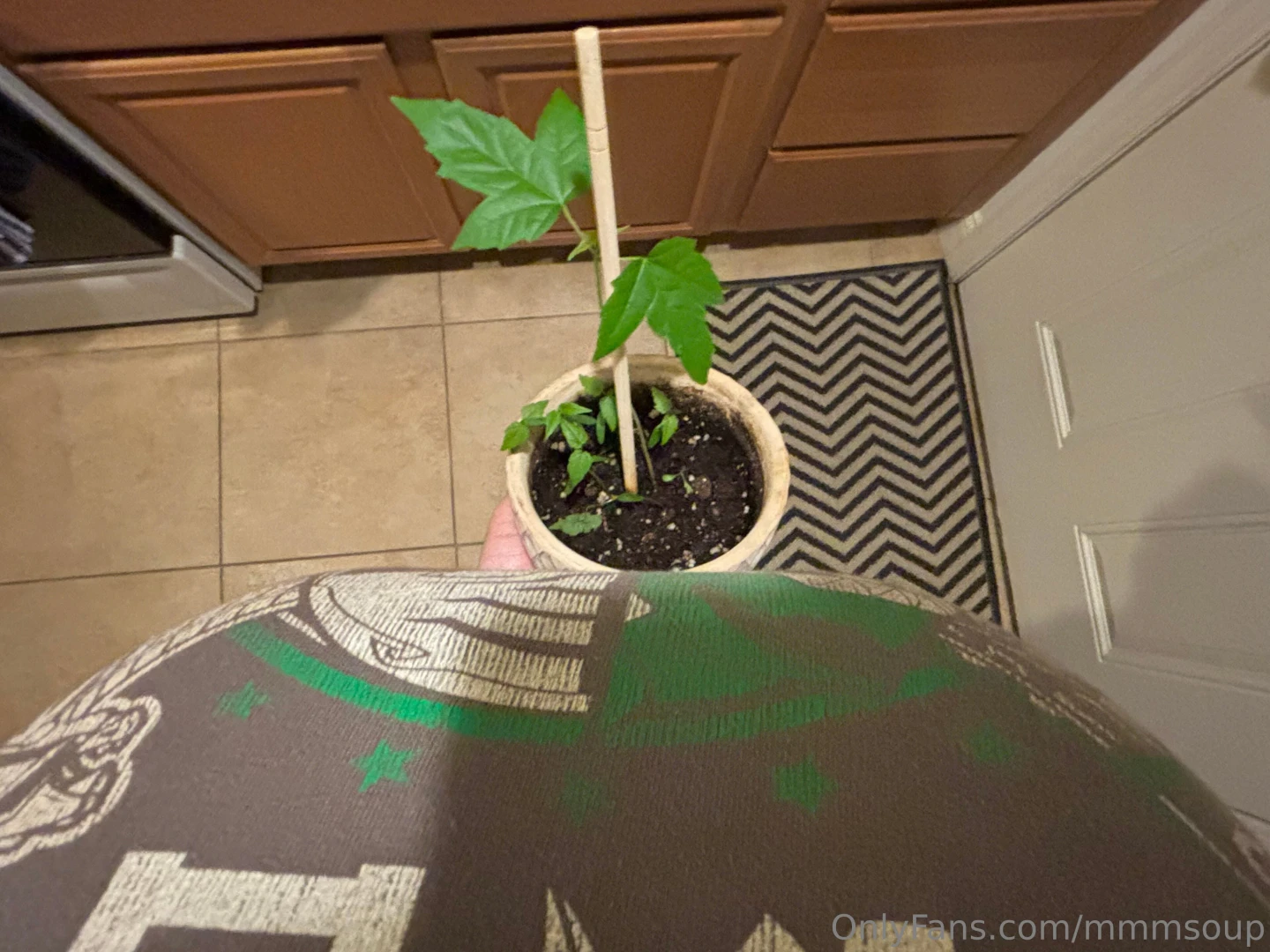 Pov me being confused as to how i planted a single seed but got so 