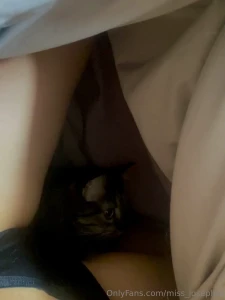 Good morning part 33274