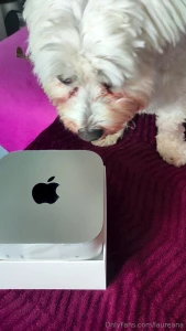 Dear kolbino your present arrived yesterday it got an inspection and