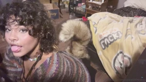 Puppy panting for you p s sorry for the crappy looking vids it ll be