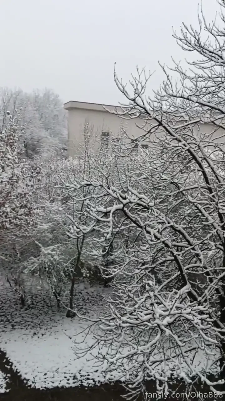 Is it easter or christmas coming up 11 04 2025 snow trees 