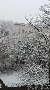 Is it easter or christmas coming up 11 04 2025 snow trees