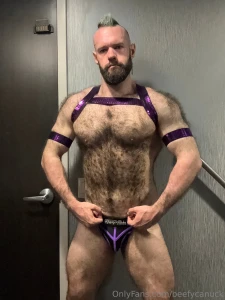 Pride gogo outfit one purple disco pup outfits arrived in time for my