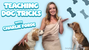 Welcome to our ultimate dog training session in this video i ll teach
