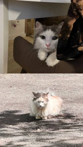 My body for good if you want to see me without underwear - know that part 9