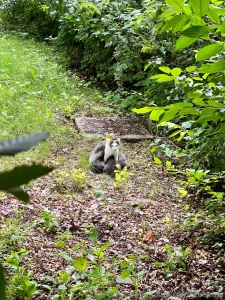 My body for good if you want to see me without underwear - know that part 15