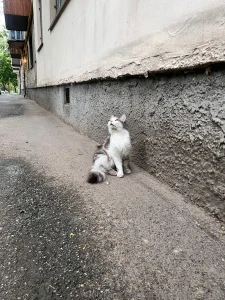 My body for good if you want to see me without underwear - know that part 1