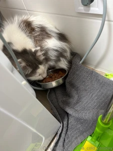 My body for good if you want to see me without underwear - know that part 12