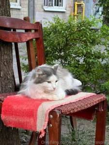 My body for good if you want to see me without underwear - know that part 2