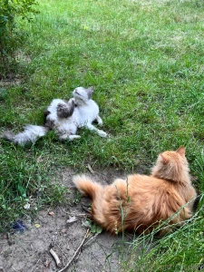 My body for good if you want to see me without underwear - know that part 4