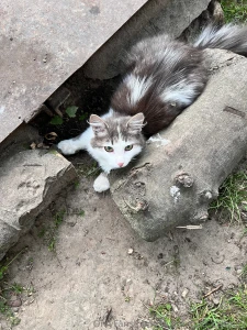 My body for good if you want to see me without underwear - know that