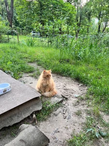 My body for good if you want to see me without underwear - know that part 6