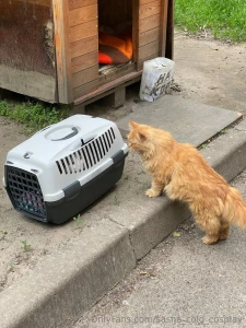 My body for good if you want to see me without underwear - know that part 11