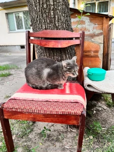 My body for good if you want to see me without underwear - know that part 3