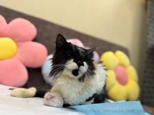 My body for good if you want to see me without underwear - know that part 13