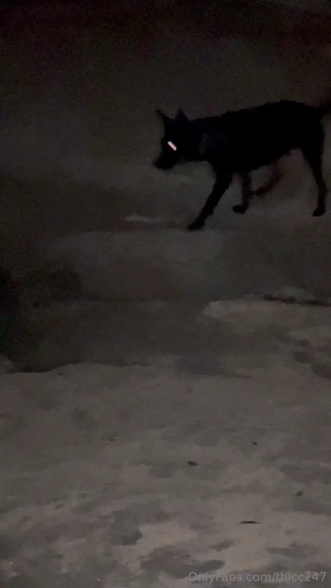 Adventurous as always 