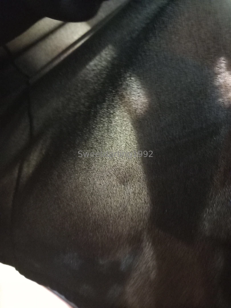 Nos quitamos la ropa 