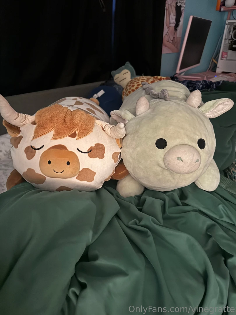 Charlie and alfonso my two favorite plushies and me part 3 