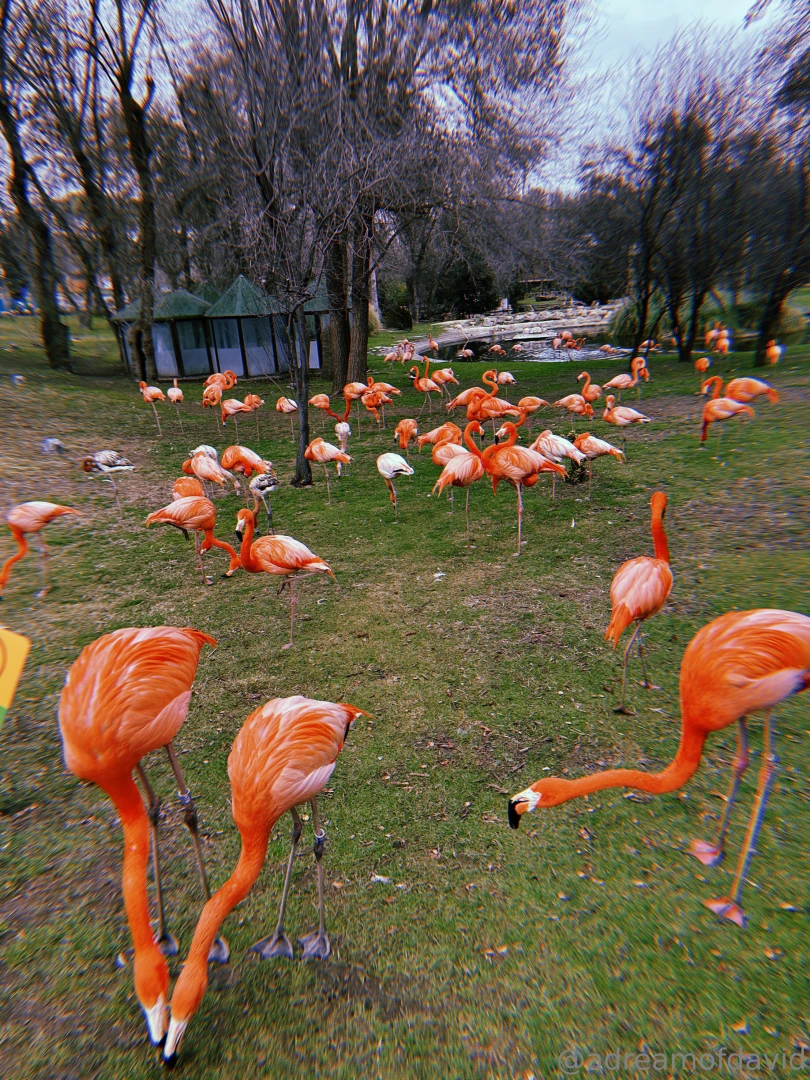 A trip to madrid with nanidanielg part 4 