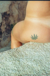 Once upon a time in hollywood photos by guigo foggiatto part 1