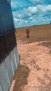 Happy easter from me being back in country life