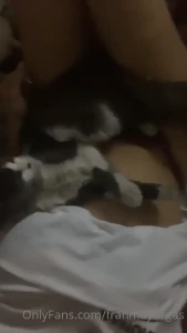 Este gatito se pasa