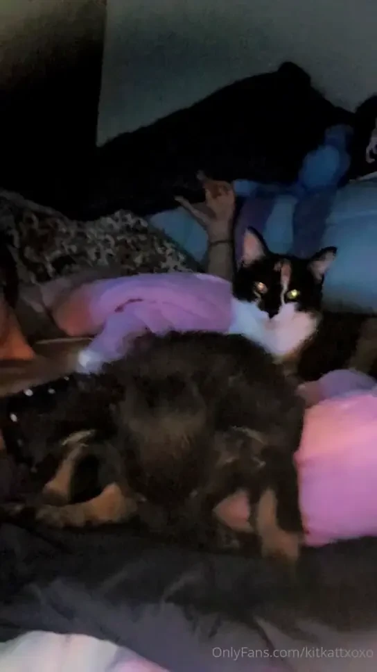 I m back got a puppy and kitty now 