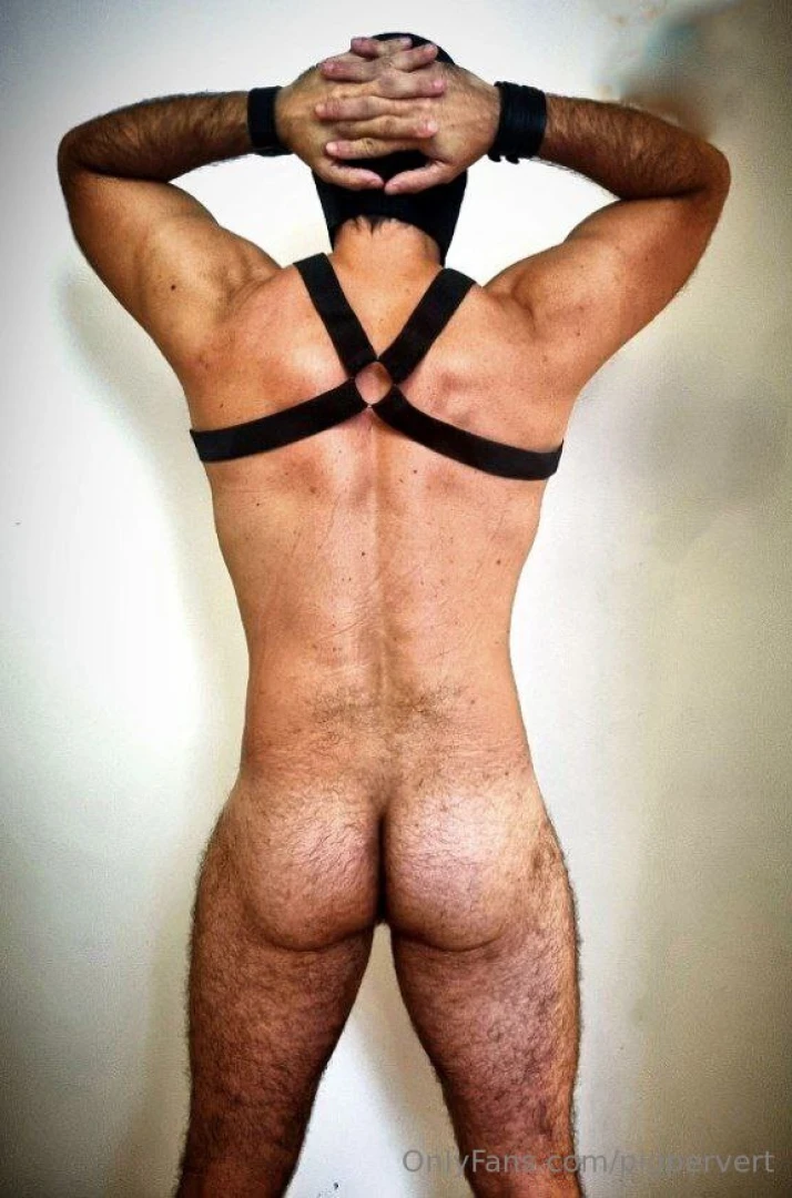 What do you prefer front or back part 19 