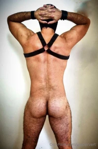 What do you prefer front or back part 19