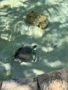 Little photo dump for you guys from when i was with my favorite part 10