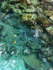 Little photo dump for you guys from when i was with my favorite part 4