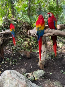 Little photo dump for you guys from when i was with my favorite