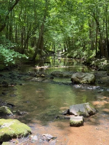 Little fun in the creek part 5