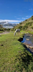 I take a moment to meditate on nature every day i am grateful for my