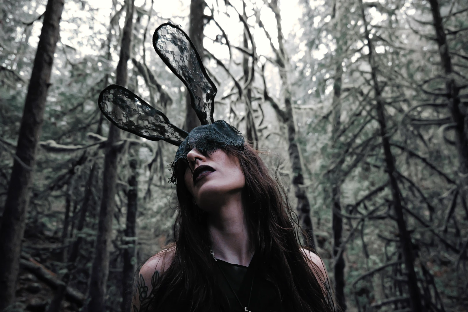 Katebunnyrabbit part 1 