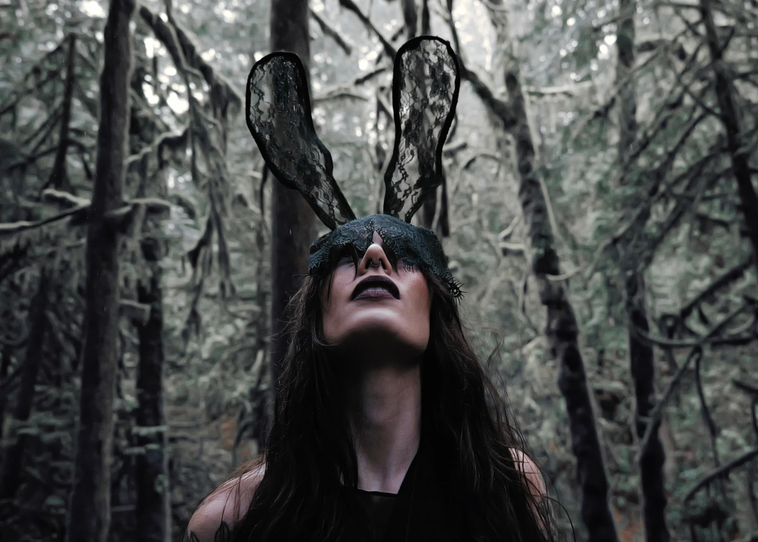 Katebunnyrabbit part 2 