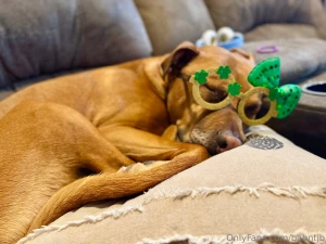 Happy st pattys day amp happy birthday to my boy scooby he turns 8 part 2