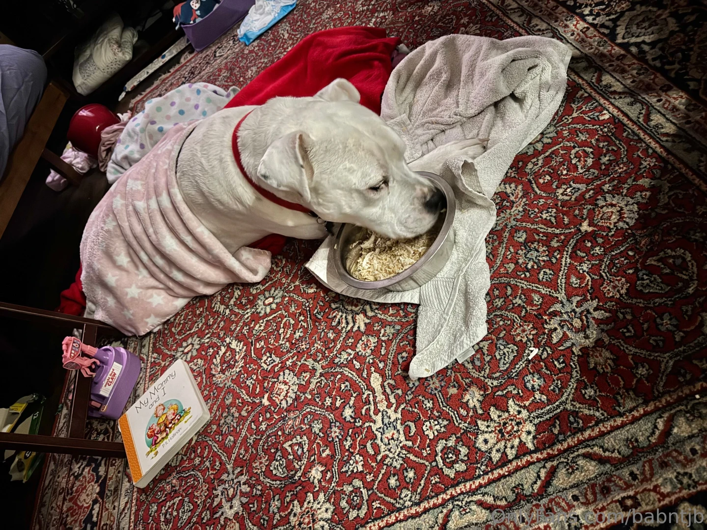 Bringing in 2025 ready to start a better year we have been struggling part 1 