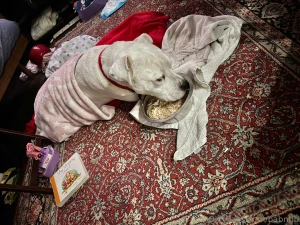 Bringing in 2025 ready to start a better year we have been struggling part 1