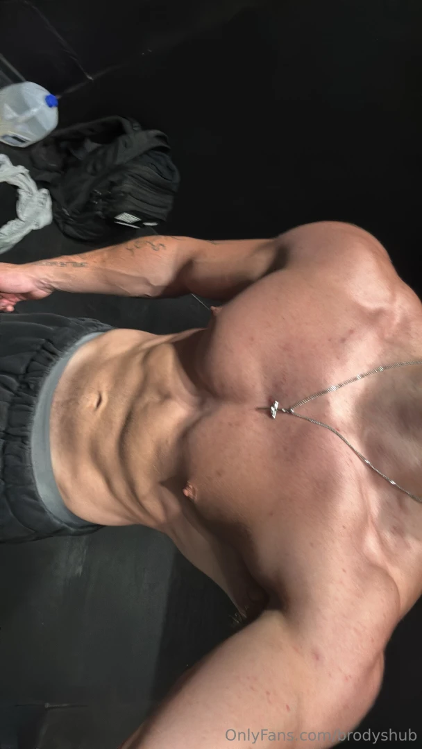 Progress has been crazy 