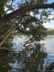 Pt pr ximo video en next video