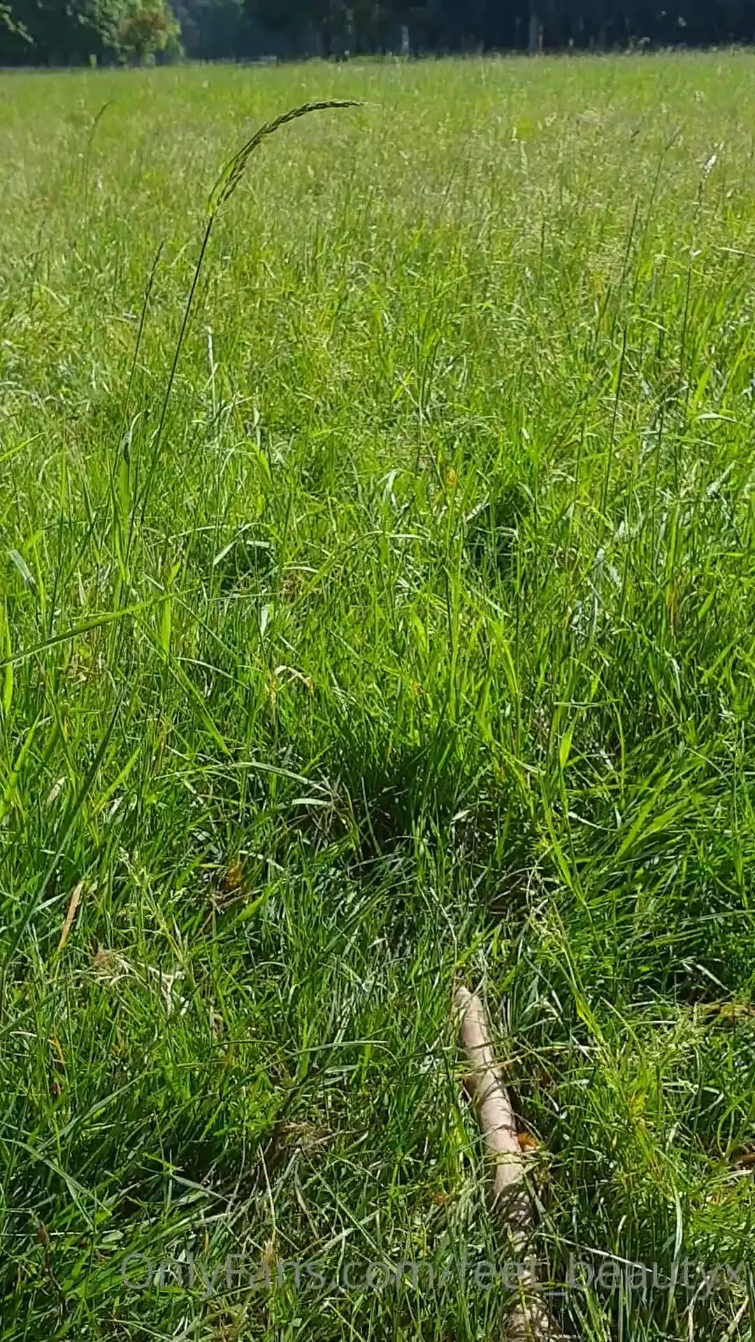Exposing my feet in the park 