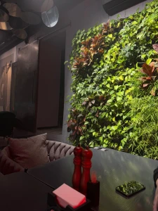 When even a wall inspires greenery comfort soft light - and silence in