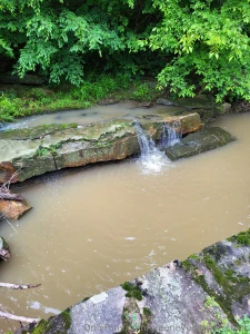 I wish i had someone to bend me over near a waterfall it s 420