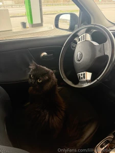 Btw i ve always gotten different opinions on how i like to dress as