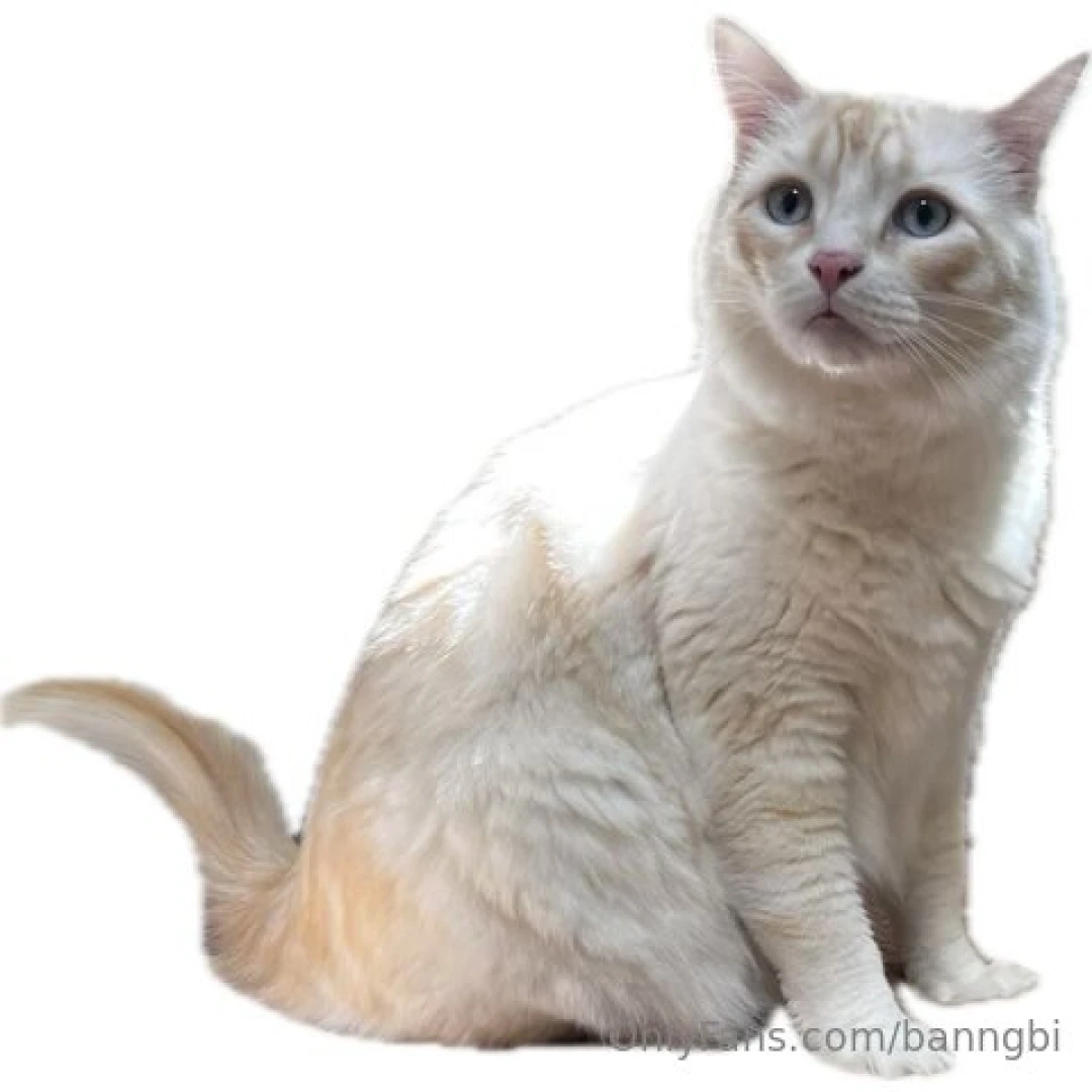 If you like the videos be sure to subscribe to banngbi_dom to see them 