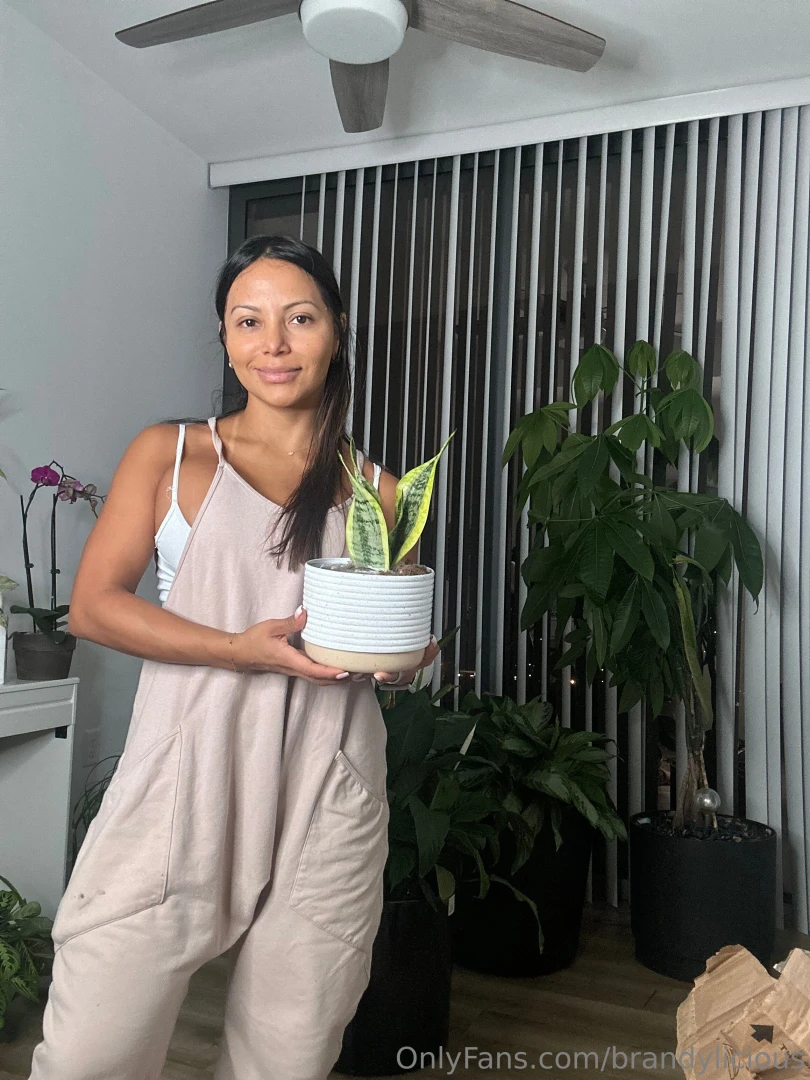 Something you may not know from me is that i am a big fan of plants 